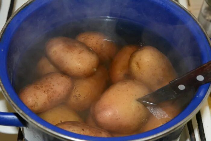 Картошка в мундире в кастрюле. Картофель вареный в мундире. Вареный картофель в кастрюле. Картошка и яйца варятся.