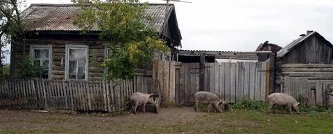 Деревни тюменская обл