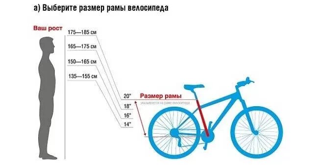 Размер рамы 150 165. Размер рамы велосипеда под рост 182см. Рост 175 размер рамы велосипеда Trek. Размер рамы на рост 160. 19 рама горного велосипеда