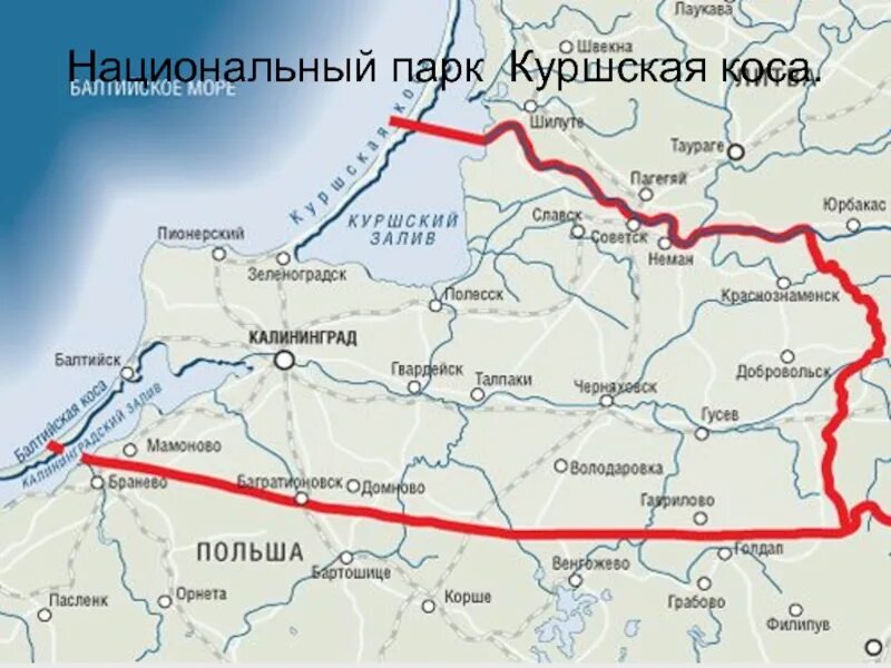 Калининград какая территория. Калининград на карте границы. Карта Калининграда и Калининградской области. Калининград на карте России. Калининград на карте Росси.