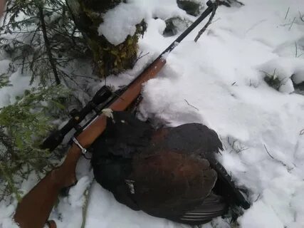 Правила охоты с нарезным оружием