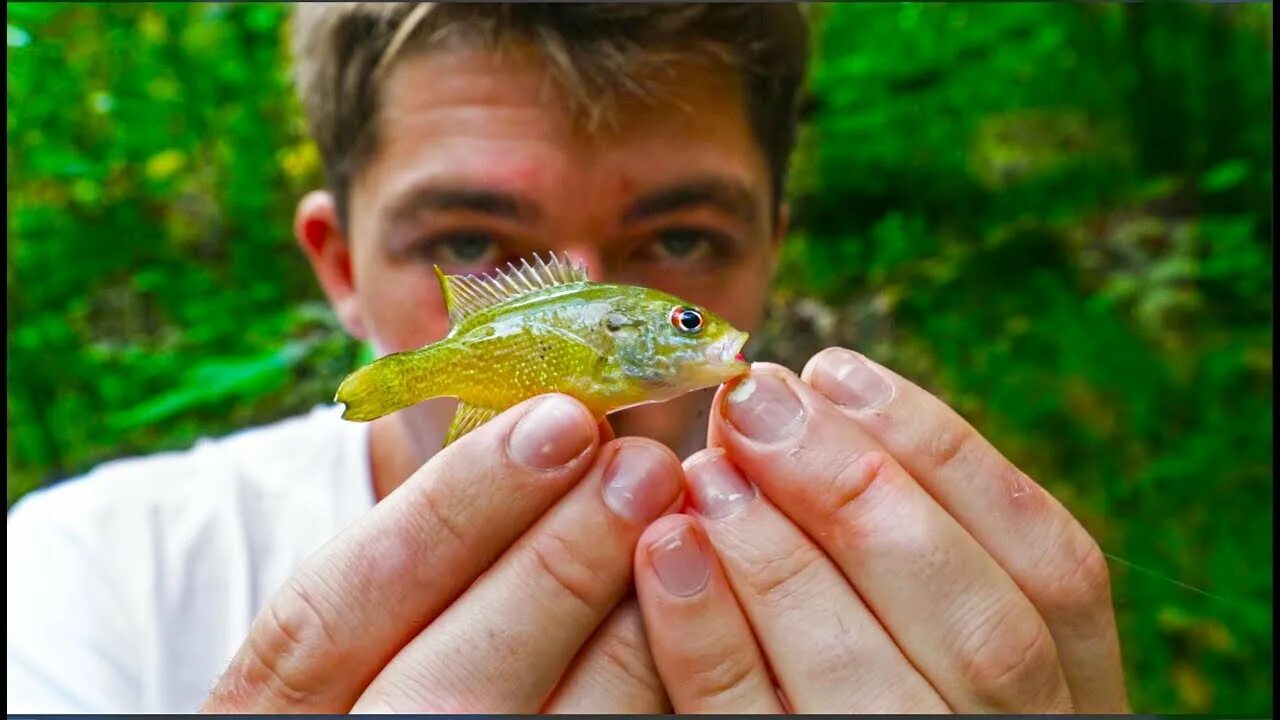 Микро рыбалка. Micro Fish.