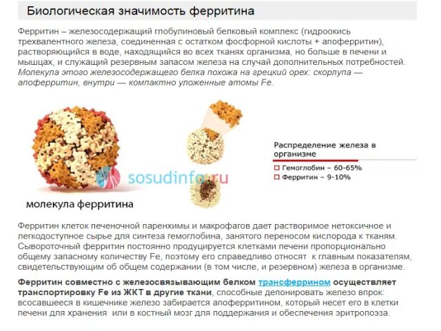 Железо понижено что это значит. Ферритин 72,2. Ферритин 14.4. Ферритин 6.68. Причины повышения ферритина.