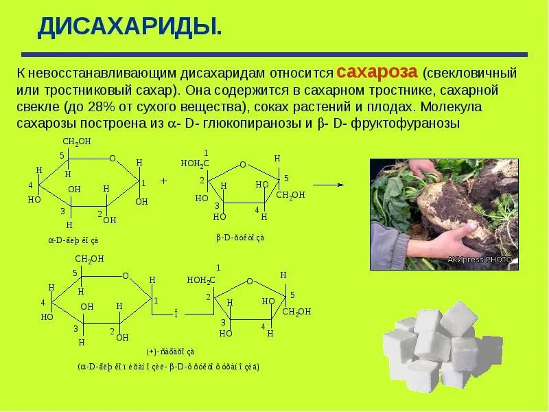 Дисахаридом является глюкоза сахароза. Дисахарид химия строение. Дисахариды: восстанавливающие и невосстанавливающие сахара. Восстанавливающие дисахариды сахароза. Сахароза невосстанавливающий дисахарид.