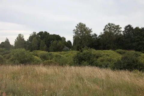 Деревня 32