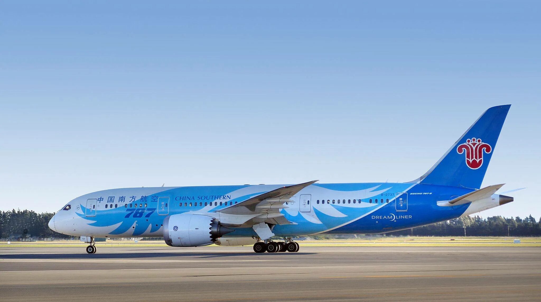 Южнокитайские авиалинии сайт. Чайна саузерн эйрлайнс. Боинг 787 skyteam. Чайна саузерн эйрлайнс. Авиакомпания china southern airlines.