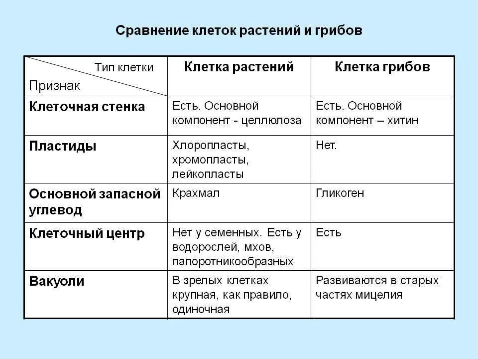 Признаки сравнения растений. Сравнение строения клеток растений животных грибов. Сравнение животной и растительной клетки грибов таблица. Сравнение клеток растений животных грибов и бактерий таблица. Отличие клеток растений животных и грибов таблица.