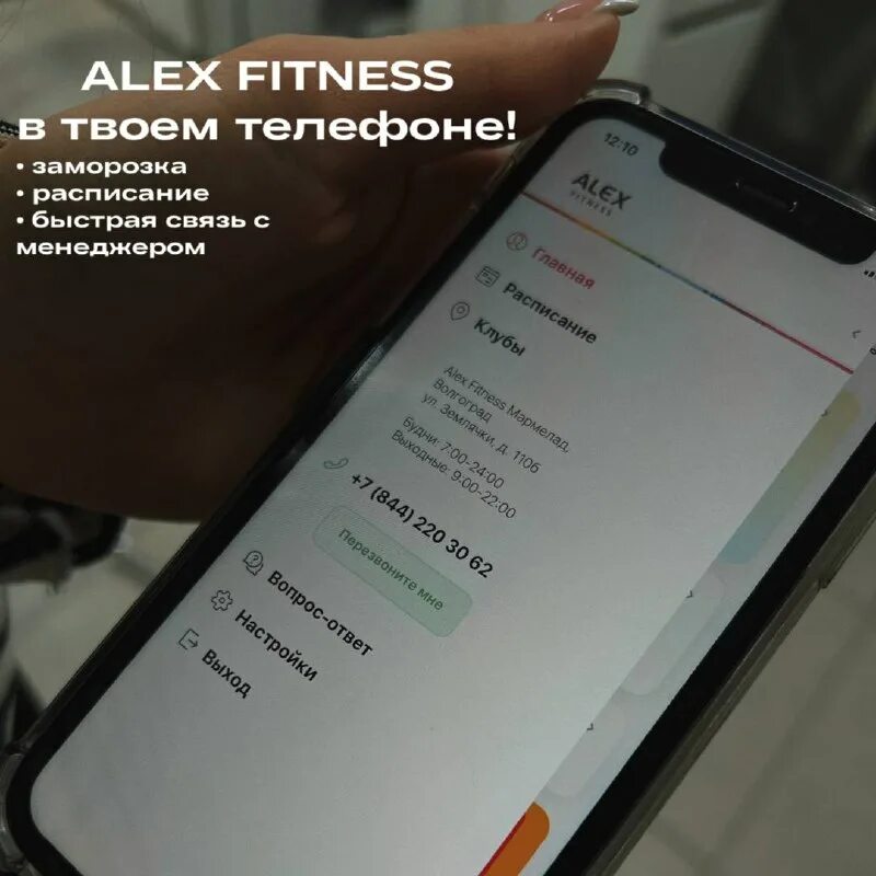 Приложение alex. Alexa приложение. Промокод алекс фитнес. Illumes logo. Alexa ios.
