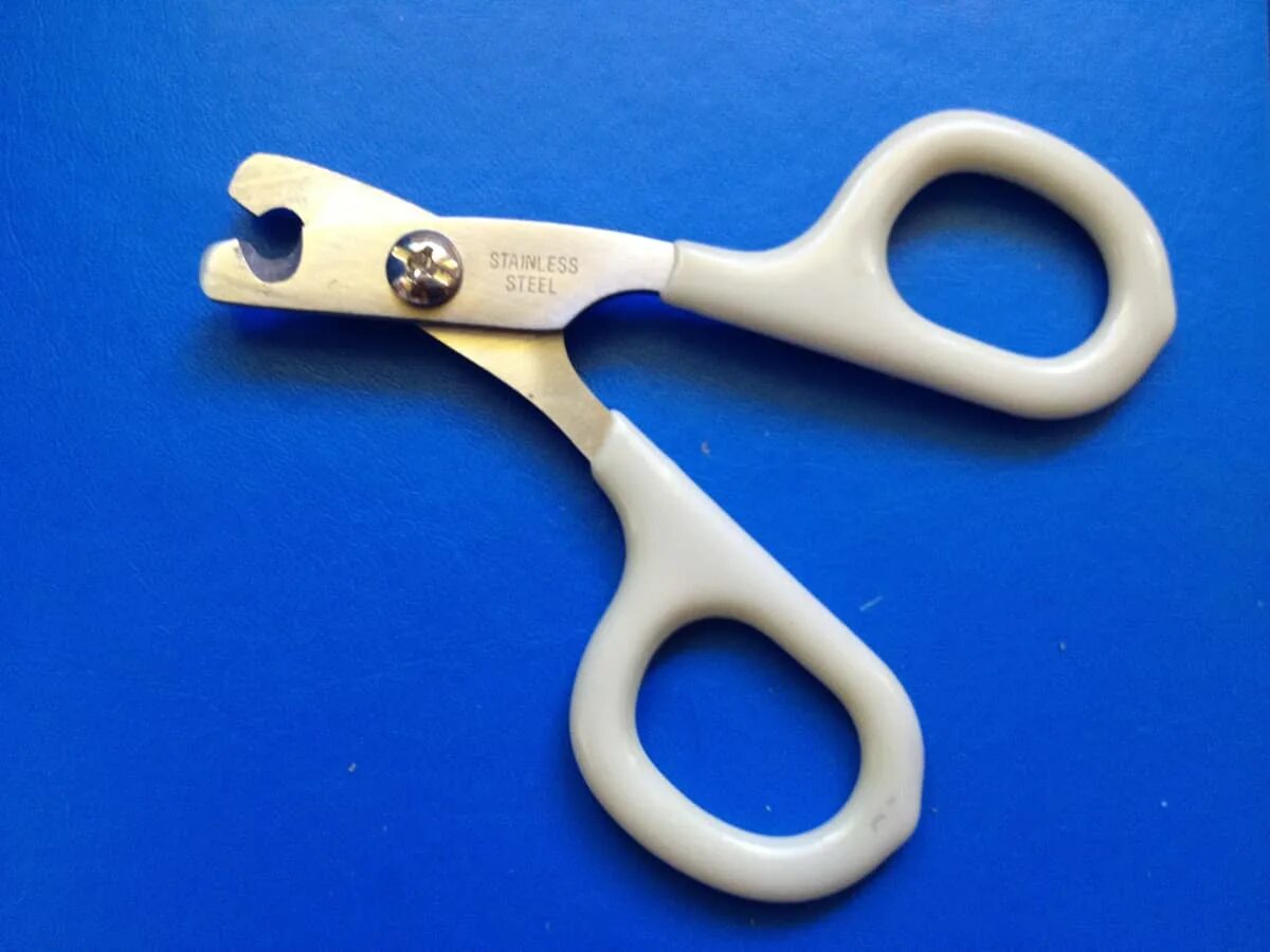 Ножницы для коготков. Когтерез zm1072-04. Когтерез trixie для кроликов. Когтерезка для крыс. Ножницы hello pet 67160.