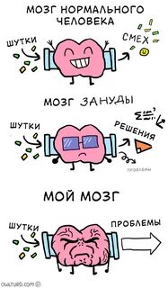 Прикол про мозги
