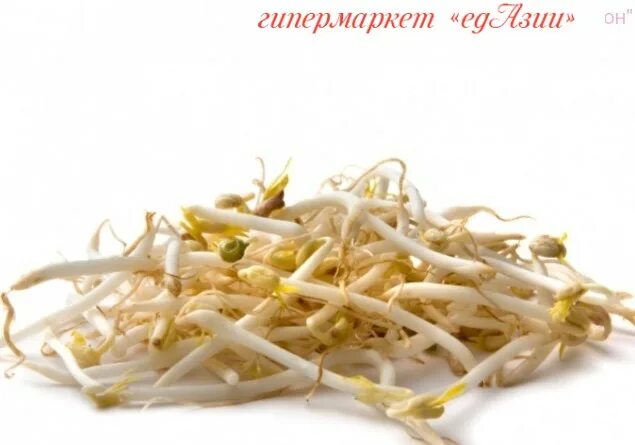 Как получить проростки