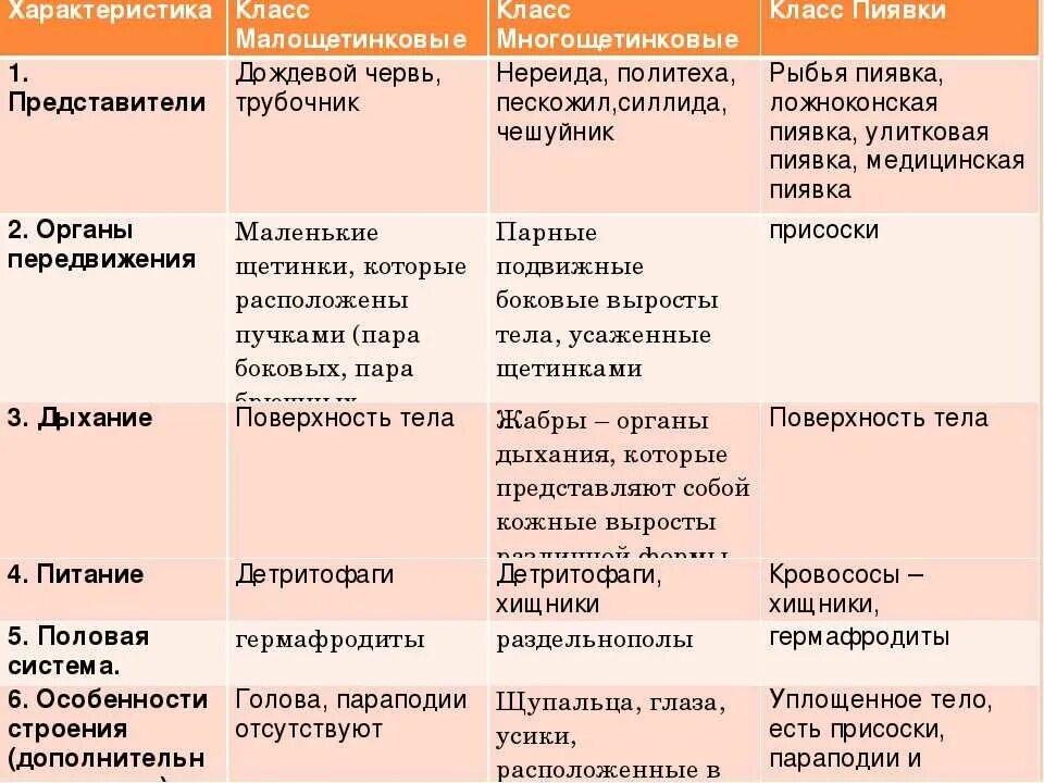 Сравнение строения червей. Характеристика многощетинковых червей таблица. Особенности строения многощетинковых червей таблица. Особенности строения малощетинковых червей таблица 7. Общая характеристика малощетинковых червей 7 класс.