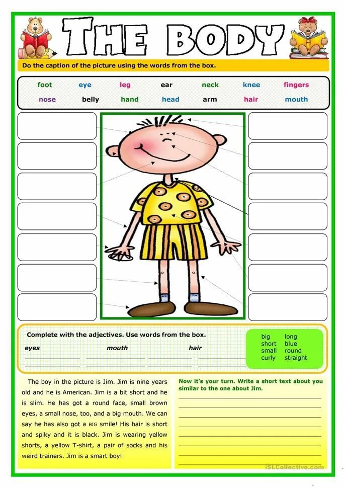 English has about words. Части тела Worksheets. Части тела на английском have has Worksheet. Body Parts tasks. Body exercises for Kids.