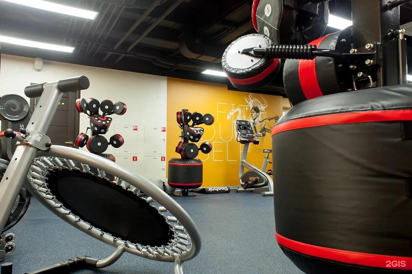 Фит элит рязань спортзал. Fit level. Fit level. Рязань фит элит тренера. Фит элит логотип.