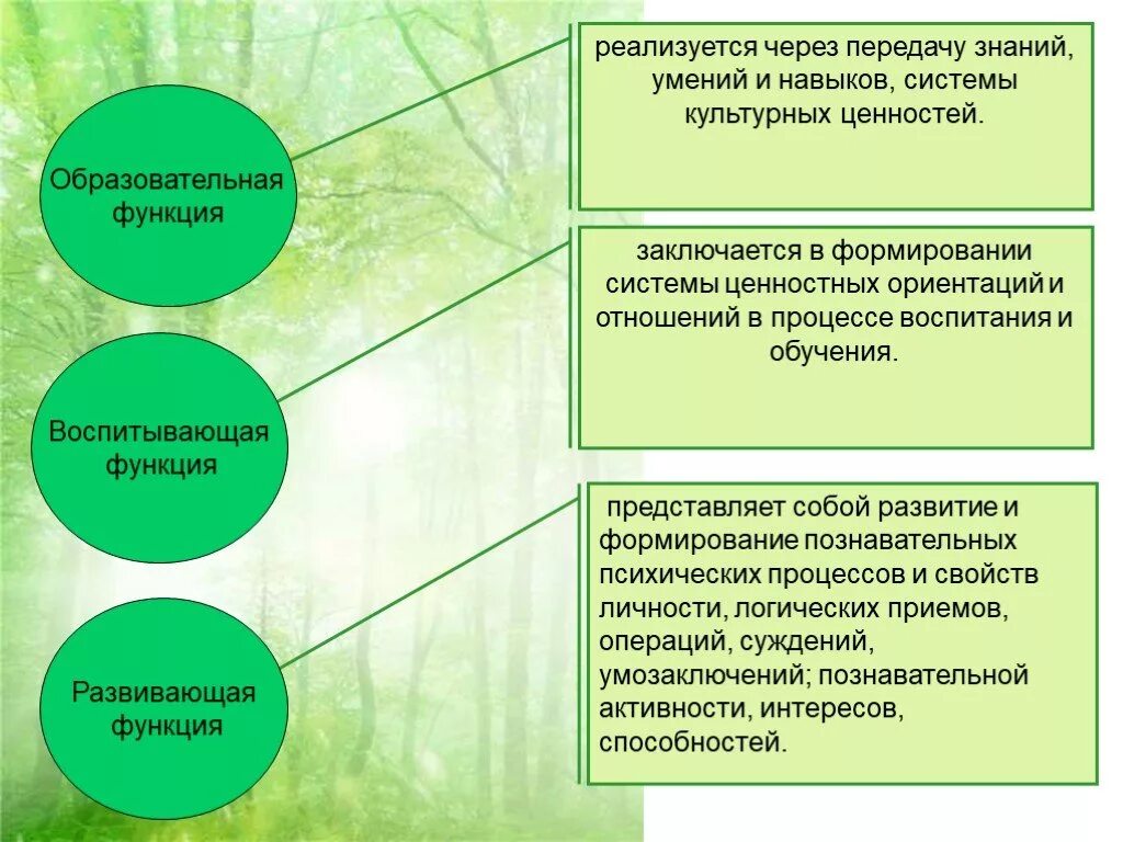 Функции педагогического процесса. Образовательная функция педагогического процесса. Функции образовательного процесса. Формирование знаний умений и навыков. Формирование системы качеств знаний