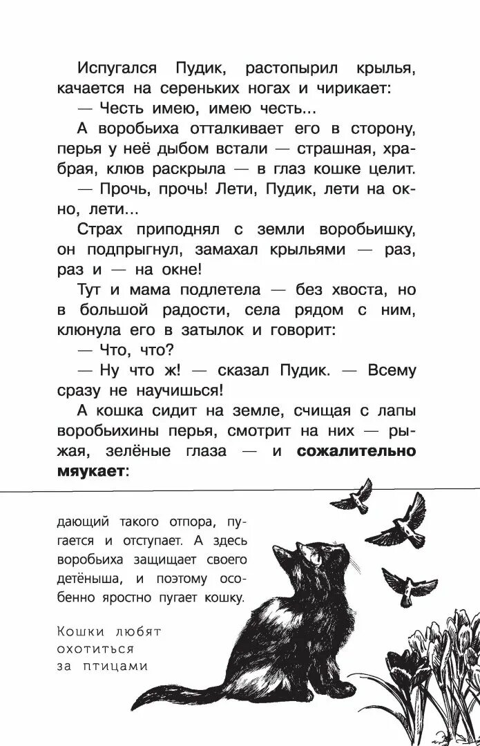 Текст рассказа Воробьишко м Горького. Текст рассказа Горького Воробьишко.