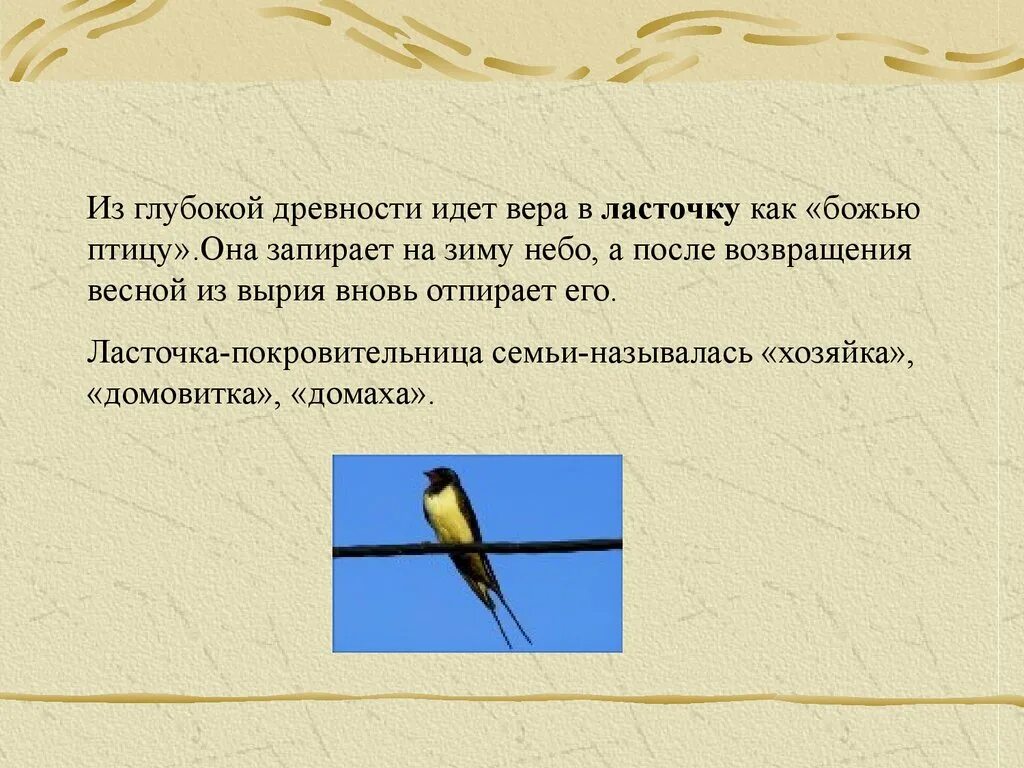 Текст про ласточку. Легенда о Ласточке. Ласточка мифы. Факты о Ласточках. Рассказ про ласточку.