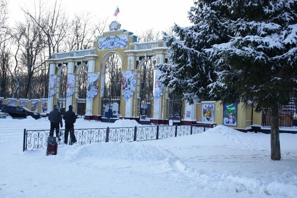 Парк культуры Нижний Новгород Автозаводский. Автозаводский парк Нижний Новгород горки. Автозаводский парк Нижний Новгород зима. Автозаводский парк Нижний Новгород зимой. Автозаводский парк москва