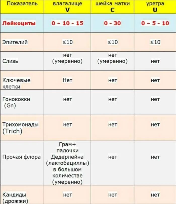 Лейкоциты в мазке у женщин норма. Гинекологический мазок лейкоциты норма. Лейкоциты уретра норма у женщин в мазке. Мазок на флору у женщин расшифровка результатов.