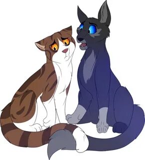 Грач и листвичка коты