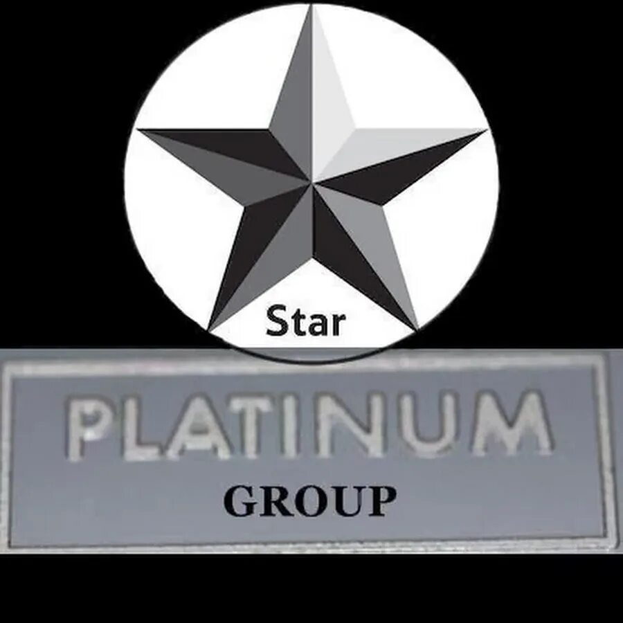 Platinum group. Ck platinum строй компания. Platinum group. Стар платинум группа. Platinum group.