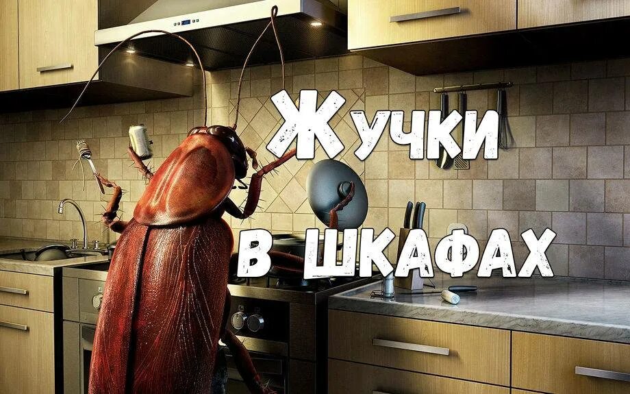 Как вывести жучков в шкафу