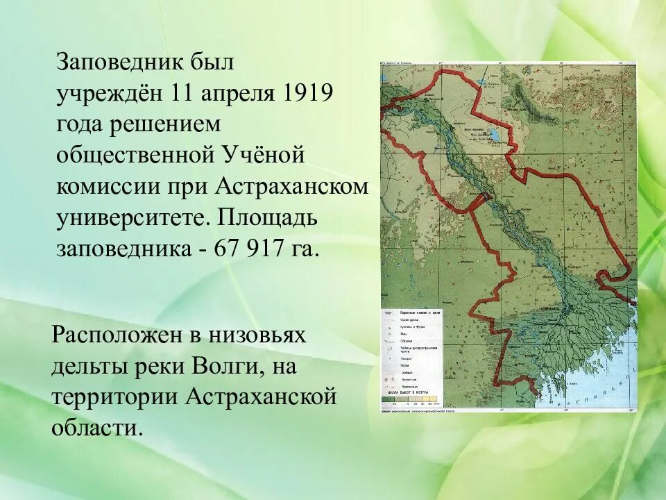 Астраханский государственный природный биосферный заповедник карта. Астраханский заповедник на карте. Территория Астраханского заповедника. Астраханский заповедник расположение.