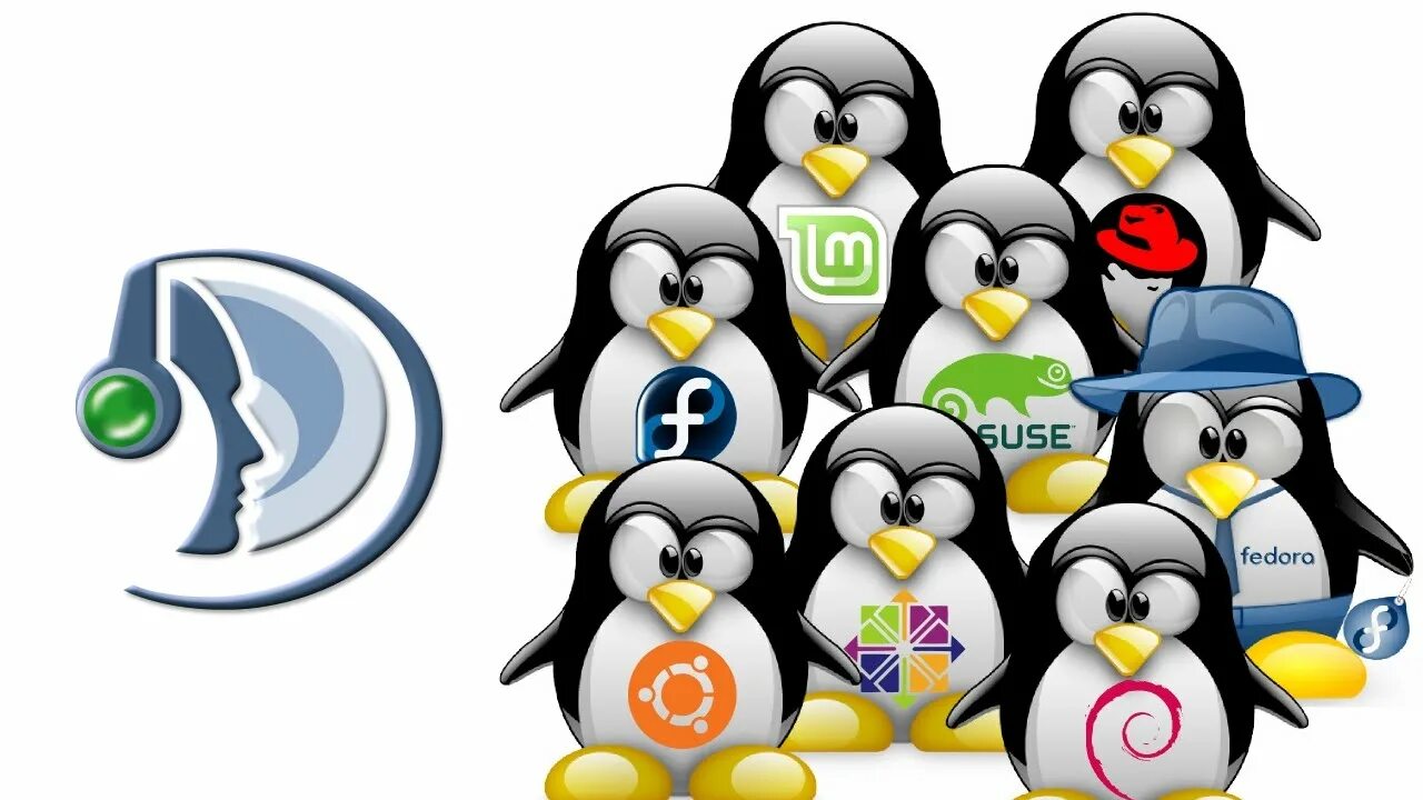 Какие дистрибутивы linux. Какие дистрибутивы linux