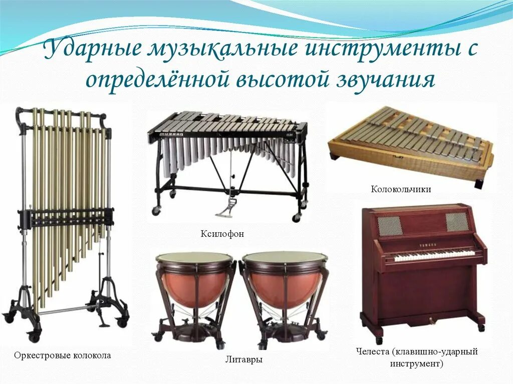 Какой инструмент не издает музыкальный. Струнный ударно клавишный инструмент. Ударные инструменты симфонического оркестра челеста. Ударные инструменты симф оркестра. Челеста симфонический ударный музыкальный инструмент.