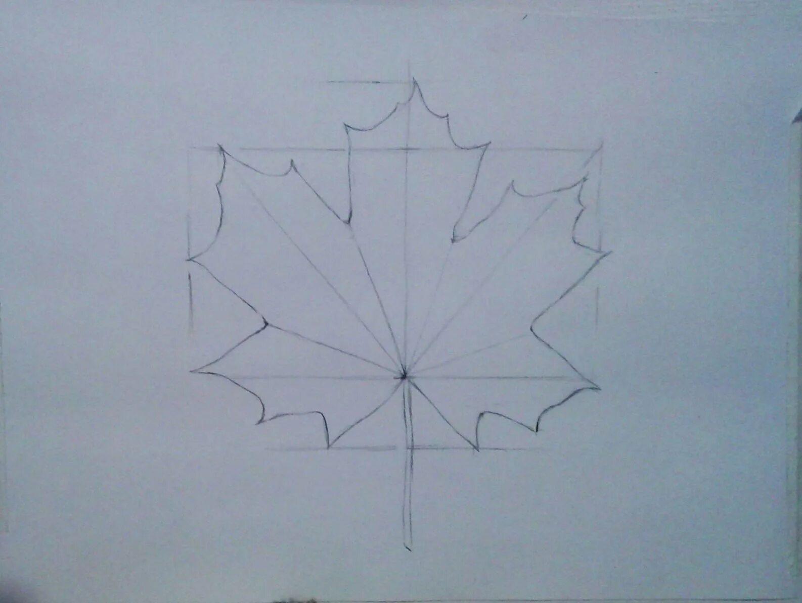 Кленовый листик симметрия. Ось листа. Лист клена симметрия. Листья. Симметрия.