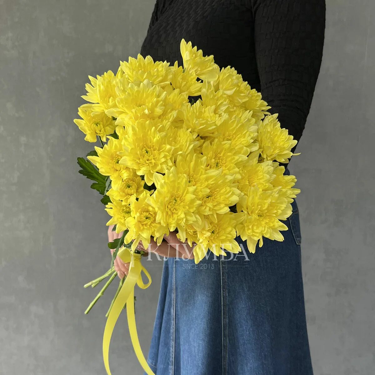 Подарить желтые хризантемы. Подарить желтые хризантемы. Подарить желтые хризантемы. Подарить желтые хризантемы. Хризантема желтая одноголовая.