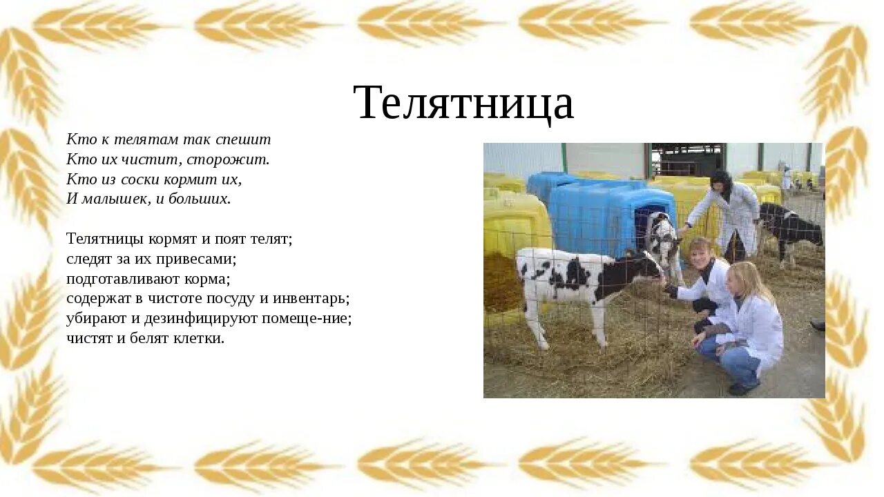 Сельскохозяйственные профессии. Стихи про сельское хозяйство для детей. Профессии животноводства. Стихи про сельское хозяйство.