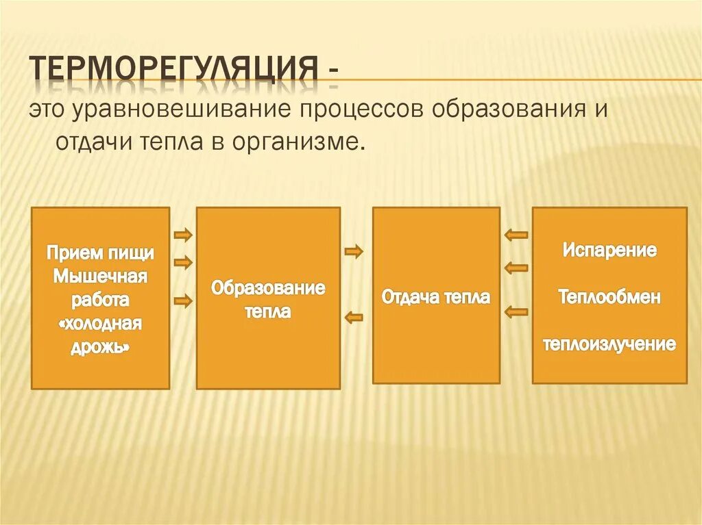 Какие структуры участвуют в терморегуляции организма человека. Терморегуляция. Терморегуляция организма человека. Ьермо регуляция организма. Терморегуляция организма человека осуществляется.