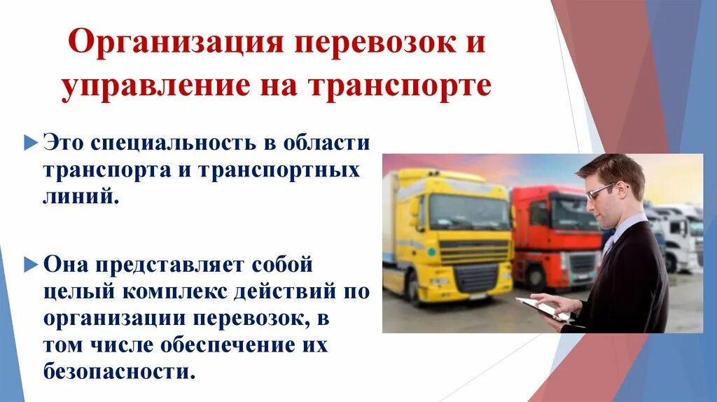 Организация перевозок и управление на транспорте профессия
