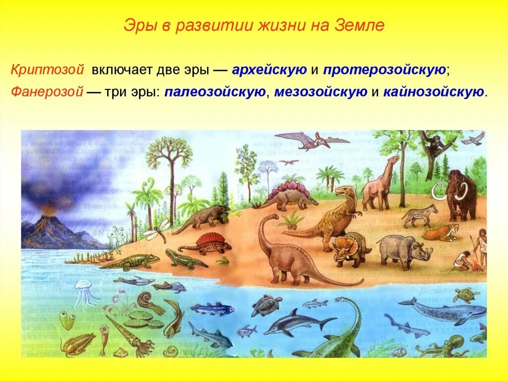 Эволюция растений и животных. Древо эволюции живых организмов. Мезозой юрский период таблица. Фанерозой мезозой. Геохронологическая таблица развития земли.