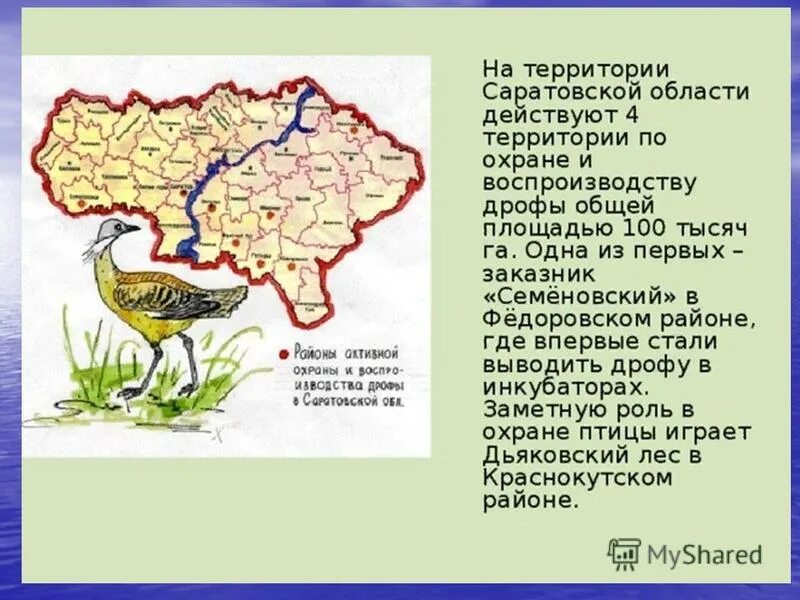 Информация о саратовской области. Природные заповедники Саратовской области. Животные Саратовского заказника. Заповедники Саратовской области на карте. Заказники Саратовской области.