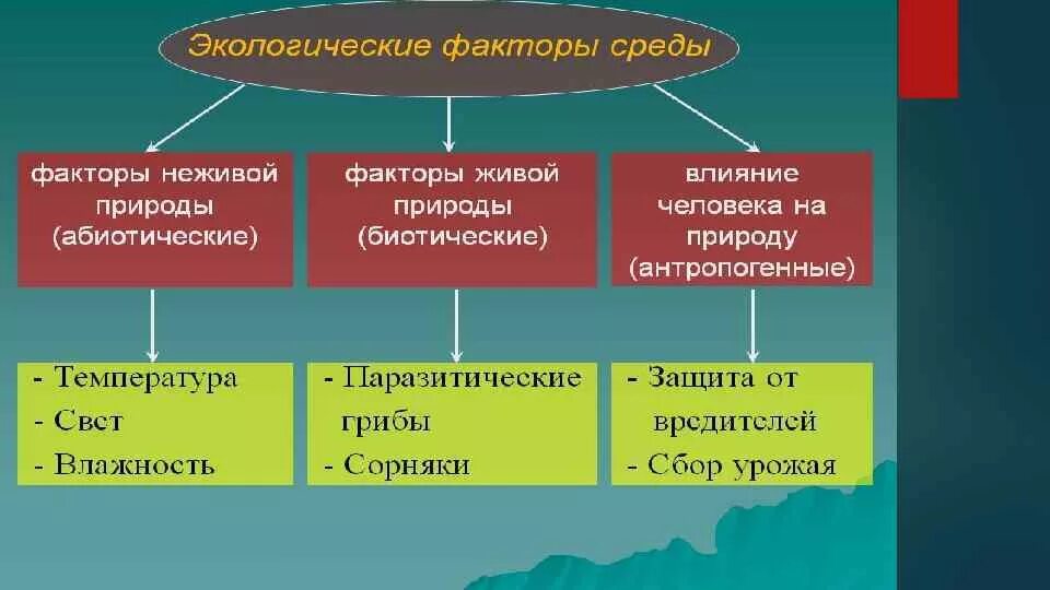 Что такое экологические факторы 5 класс. Экологические факторы. Основные экологические факторы. Экологические факторы это в экологии. Экологические факторы среды.