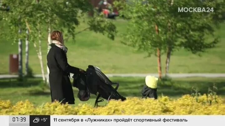 Закон о запрете пропаганды чайлдфри. Закон о запрете пропаганды чайлдфри