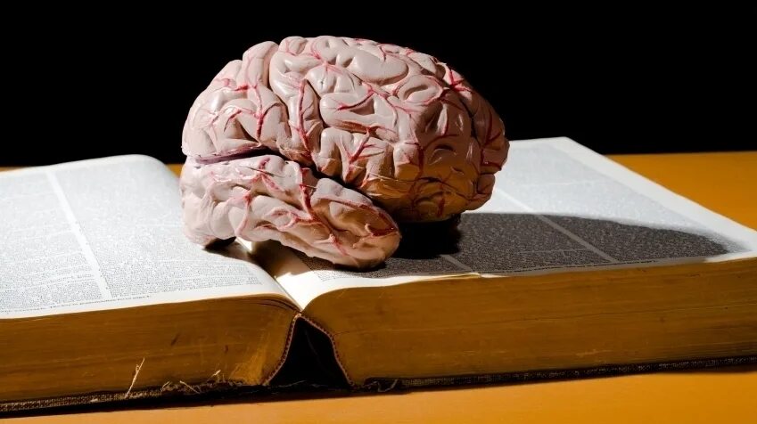 7 3 brain. Книга мозг. Мозг с книжкой. Картинка мозг с книжкой.