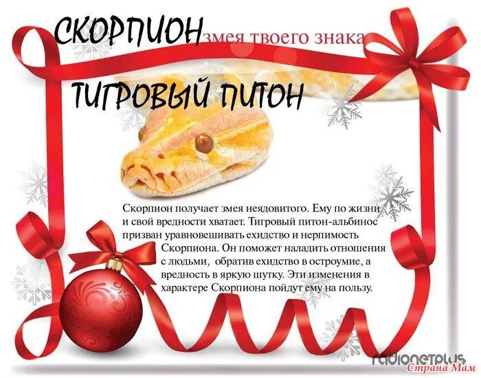 знак змеи по гороскопу. змеи по знаку зодиака. змеи по месяцам рождения. какие знаки подходят змее. змея (китайский зодиак).