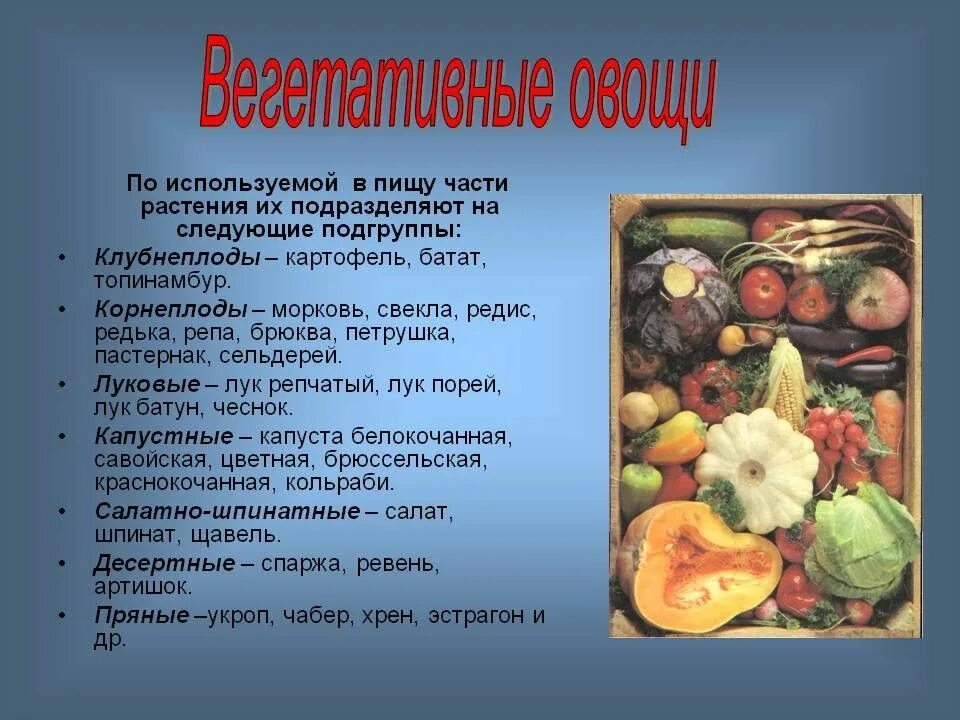 Овощи вегетативная группа клубнеплоды. Классификация вегетативных овощей. Ассортимент свежих плодов и овощей. Презентация на тему плодоовощные товары. Качество плодов и овощей