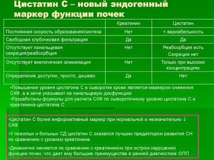 Креатинин скорость фильтрации