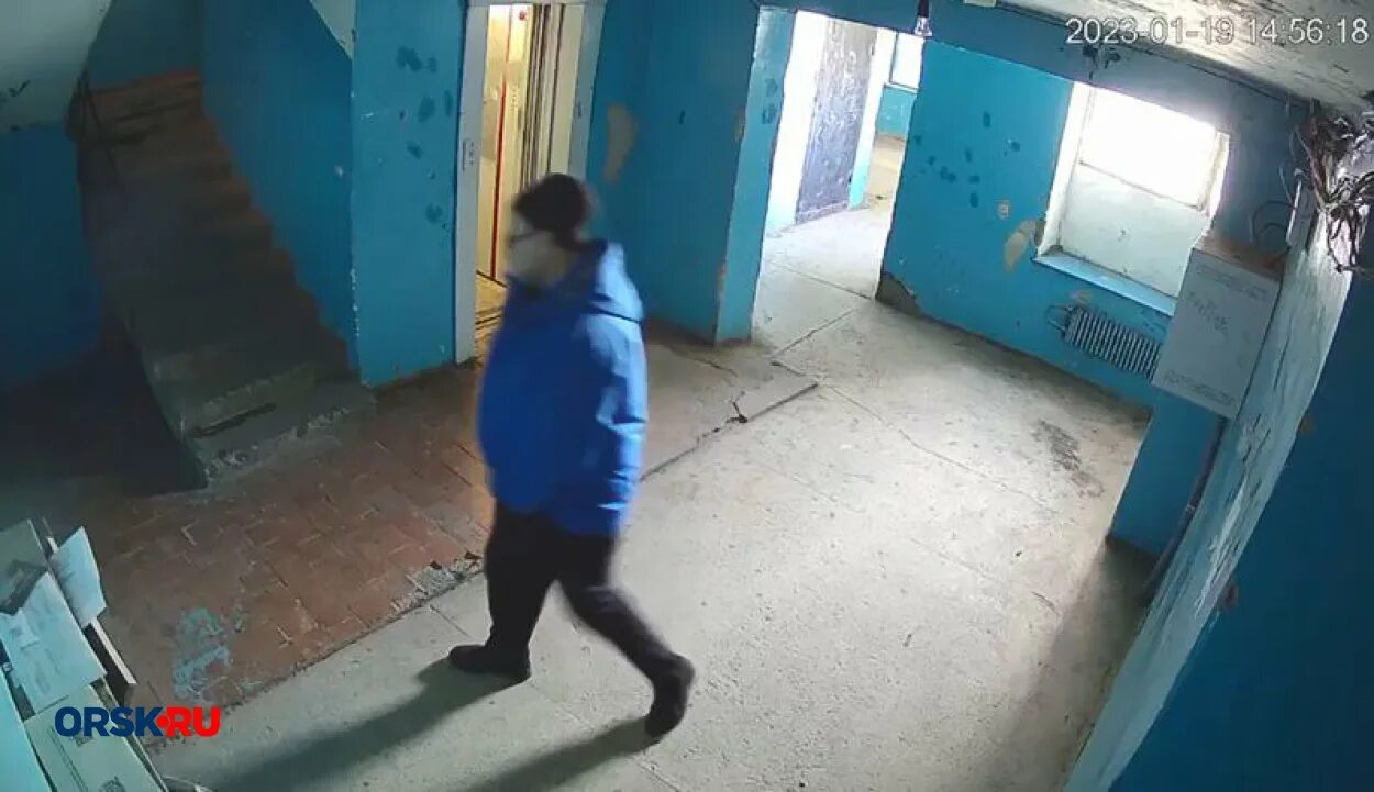 Справляет нужду видео. Справляет нужду видео