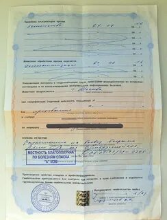 Какие документы нужны кошке для поезда
