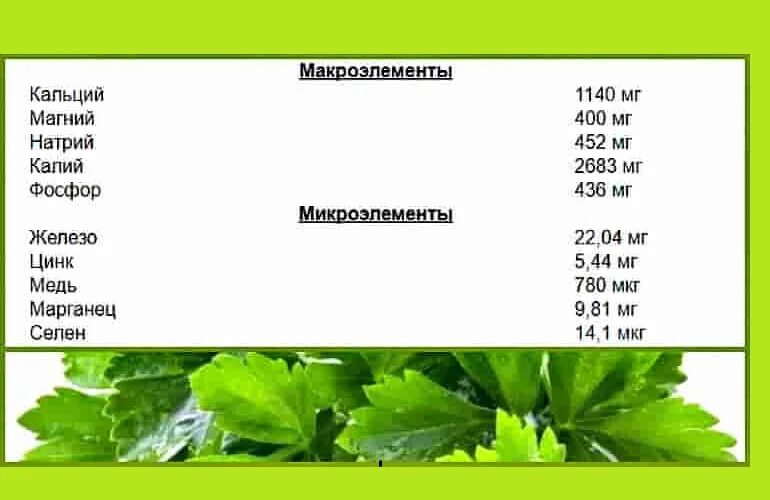 Петрушка витамины и микроэлементы таблица. Химический состав петрушка зелень. Петрушка пищевая ценность в 100 гр. Калорийность зелени петрушки. Сколько калорий в укропе