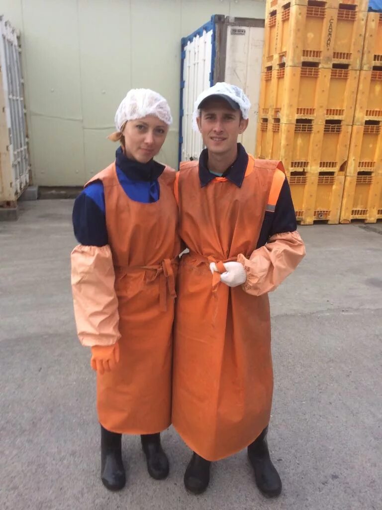 Требуются рыбообработчики на камчатку. Требуются рыбообработчики на камчатку. Рыбообработка камчатка. Камчатка вахтовый работа. Спецодежда на рыбном заводе.