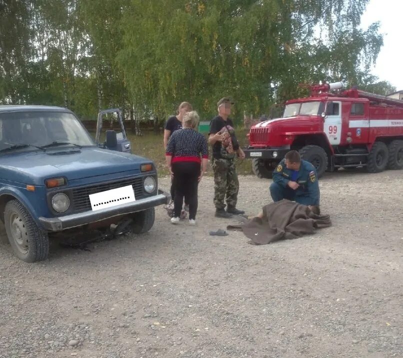Погода в медянке ординского на неделю. Погода в медянке ординского на неделю. Погода в медянке ординского на неделю. Погода в медянке ординского на неделю. Нива для детей.