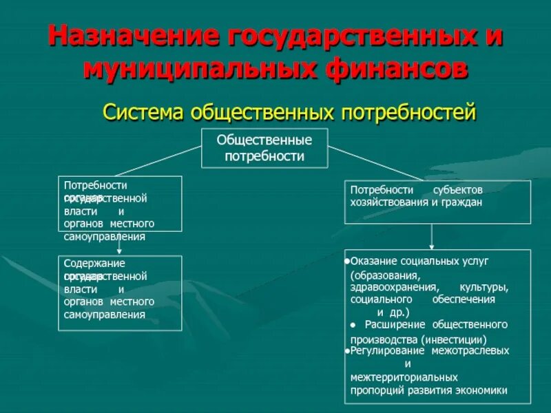 Органы местного самоуправления здравоохранения. Содержание и Назначение государственных и муниципальных финансов. Назначение государственной власти. Общественные потребности. Назначение муниципальной власти.