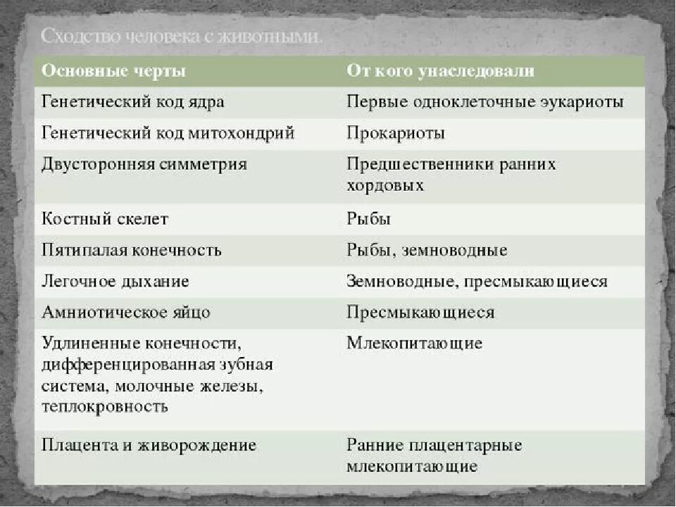 Черты сходства и различия человека и животных. Сходство и различие человека и животных таблица биология 8 класс. сходства и различия человека и животного. отличие и схожесть человека и животного. сходства и отличия человека и животных таблица.