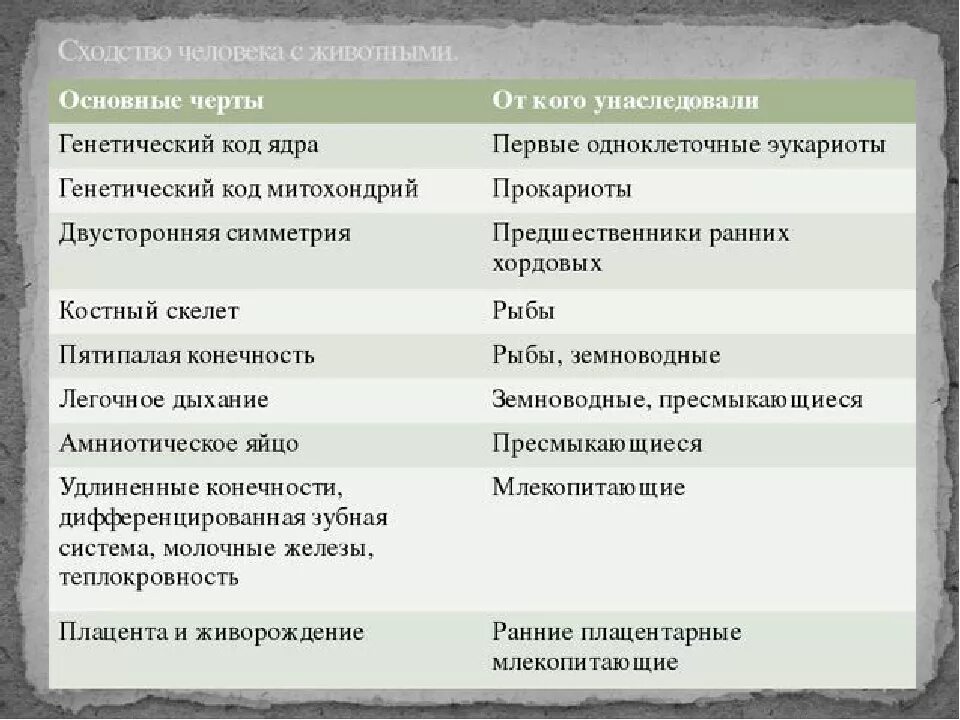 Сходства и различия между людьми. Таблица сходство и различие человека и животных. Сходство человека и животных. Отличие и Схожесть человека и животного. Различие животных и человека таблица.